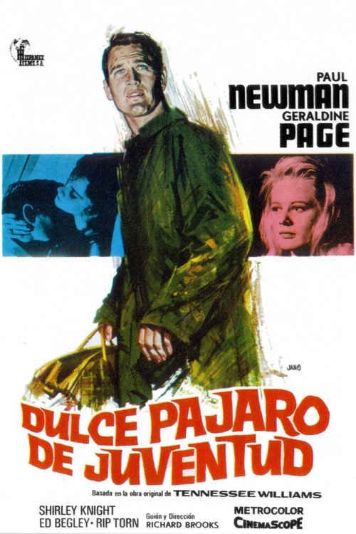 Dulce pájaro de juventud (1961) de Richard Brooks (Sweet Bird of Youth )
