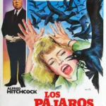 Los Pájaros : Suspenso y terror en la obra maestra de Hitchcock